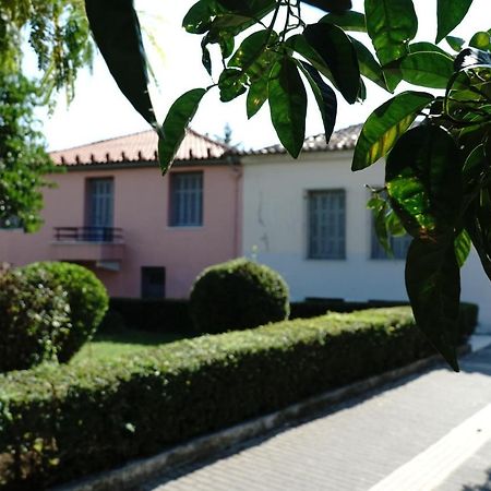 Aggelis Traditional Appartment Sparta Exterior photo